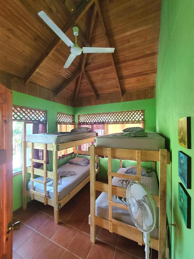 Casa Terra Hostel Samara Bagian luar foto